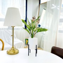앙플랜트 철제스탠드 화분 공기정화식물 set, 스노우사파이어 소품/플라스틱 기본 포트
