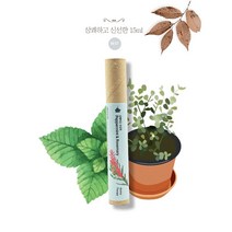 힐링팜스 펄스포인트 아로마테라피롤온12ml 페퍼민트 유칼립투스 프랭킨센스 일랑일랑 신제품추가, 페퍼민트 로즈마리(상쾌함 신선함)