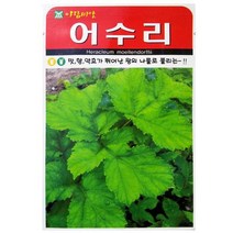 곰취 곤드레만큼 널리 알려진 산채종자 어수리 씨앗 1L통