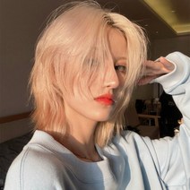 남성가발 장발가발 울프컷 스타일 패션가발 군인가발, 단일사이즈, H ONE SISE