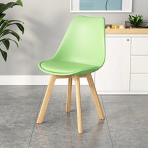 북유럽 식당 카페 티테이블 의자 심플한 투명 아크릴 플라스틱 학생 책상 체어, 15 그린