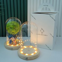 유리돔 무드등 만들기 DIY 재료 꽃 수면등 웨딩부케 공방 수업, 단품
