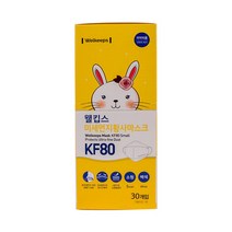 [FZ] 웰킵스 KF80 마스크 소형 30매 개별포장 (FZ 1C8010EA )