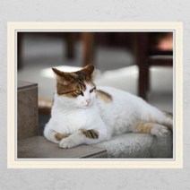 아트박스/꾸밈 ij247-요염한고양이_창문그림액자_뮤럴시트지, E타입-모던블랙