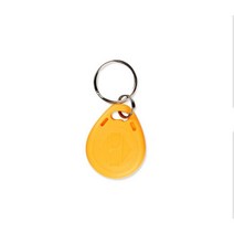 10 개/몫 T5577 클론 카드 125khz 태그 복사기 복제 근접 배지 쓰기 가능 재기록 RFID 복사 키, [02] Mixed Color