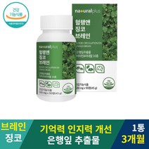 기억력 플라보놀배당체 ginko brain 혈행앤징코브레인90정 3개월 프라보놀배당체 은행잎 추출물 징코 깅코 인지력 개선 은행물 추출물 기억력에 좋은 공시생 고3수험생 수험생 뇌 건강 영양제