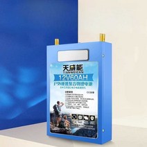 리튬 파워뱅크 대용량 배터리 캠핑 초경량, 9. 12V220AH 금속 리튬 배터리