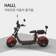 장인모터스 할리볼트 전기오토바이 전동스쿠터