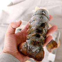 랍스타테일 4oz 1미 (110~120g) 캐나다산