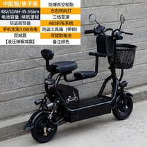 세발 노인 어르신 삼륜 3륜 스쿠터 전기 오토ㅊ바이 바이크 전동, 48V, 패밀리 라인 10AH / 45-55km