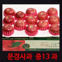 [경북문경사과] 먹기 좋은 크기의 아삭하고 새콤 달콤한 가정용 실속포장 2kg~10kg, 1박스, (중13과)4.8kg내외 칼라 박스 포장