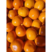 (과일누리) 고당도 서귀포감귤 소과 중과 5kg, 소과 5kg