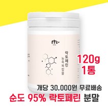 락토페린 락토패린 락토린 라토페린 고순도 농축복합물 우유 초유 초우 단백질 담백질 분말 가루 파우더 유산균 사균체 칼슘 칼숨 홈쇼핑 분리유단백 모로오렌지 레몬밤 자몽 와일드망고, 120g 1통 - 다니마켓