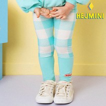 헤이미니 이네스체크레깅스