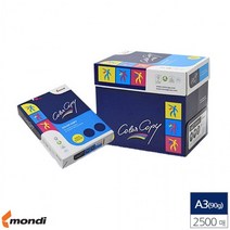 A3 컬러 레이져 전용 복사용지 백색 90g 2500매, 상세페이지 참조