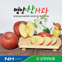 경북 영양농협 사과 꿀부사 5kg 17-20과 미세기스, 단품