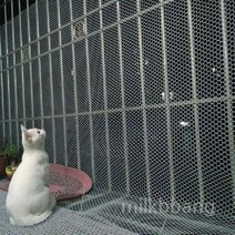 베란다 안전망 그물망 추락방지 메쉬망 네트 난간 울타리 방지망 펜스, A.너비2미터의흰색0.8cm메쉬