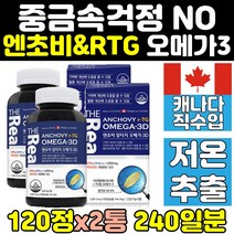 항산패 엔초비 멸치 초임걔 rtg 오메가3 저온추출 2통 비타민d 엔쵸비 식약처인증 epa dha 알티지 캐나다 중금속 안전 대용량 정어리 오메가쓰리 좋은 영양제 캡슐