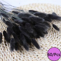 미니화분 자연 말린 꽃 토끼 꼬리 팜파스 갈대 꽃다발 웨딩 파티 장식 식물 3 개 구매시 1 무료 제, 07 R7