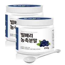 사과마켓 빌베리 농축 분말 가루 플러스 국내 생산 파우더 추출물, 빌베리농축분말 250g 2개