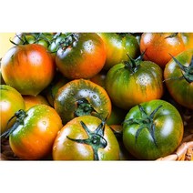 프리미엄 고당도 대저 짭짤이토마토2.5kg 로얄과 과일 토마토 선물세트, S~2S 로얄과 (특)