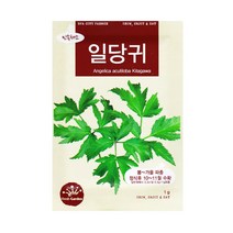 일당귀씨앗 1g