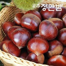 23년산 공주밤 정안밤 알밤 햇밤, 1박스, 2kg(특품)
