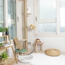 원목 캣타워 고양이숨숨집 캣폴 DIY 켓타워 대형 코너 천장고정형 5단 우드 싱글 원룸, 심플형