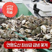 연평도 100% 활꽃게를 급냉한 냉동꽃게 1kg(4~6미), 암꽃게 2kg(8~12미)