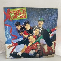 NEW KIDS ON THE BLOCK LP / 엘피 / 음반 / 레코드 / 레트로 / C1632
