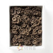 애느타리버섯 상 BOX 2kg, 단품, 단품