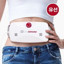 비타그램 [비타그램] 바디쉐이커(유/무선), 무선