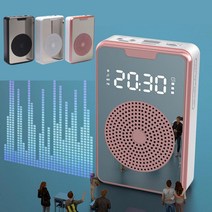 휴대용 블루투스 반복재생 무선 강의 피트니스 유튜브 USB 마이크, 유선마이크(핑크)