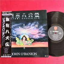 마카롱 LP판 희귀앨범 레코드판 john o39banion Satomi Hakkenden