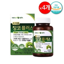 기억력 두뇌 건강 은행잎추출물 60정(2개월분) 600mg 슈타인 징코 알파 브레인 플러스, 60정×4개