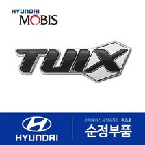 튜익스 좌측 엠블럼 (3XH20AP100)