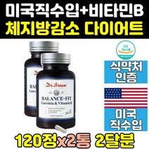 남성 여성 내장 복부 뱃살 내장 지방 분해 빼는법 2통 체지방 살빼기 커팅제 컷팅제 다이어트 보조제 살빠지는 가르시니아 중년 여자 볼살 감소 단기 음식 남자 종아리 상체 직구