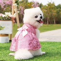 강아지 드레스 원피스 봄과 여름 애완 동물 귀여운 스커트 고양이 공주 한복 의류 사랑스러운 개, [08] A7