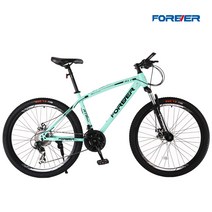 자전거 상하이 브랜드 산악 남성용 및 여성용 가변 속도 더블 디스크 브레이크 성인, 26인치, 연한 녹색(바 휠), 21단