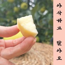 예산명품사과 시나노골드1호 2호 홍로 1호 2호 특대과 제수용 선물용 5킬로그램, 1박스, 홍로 5kg 명품2호