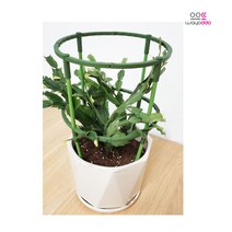 T자 조립형 식물 지지대원형 화초 화분 꽃 지주대 넝쿨 텃밭, 17cm(부속품포함)-1개