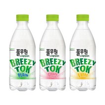 풀무원 브리지톡 탄산수 500ml 20개 제로 스파클링 탄산음료, 선택:브리지톡 탄산수 500ml 20개 플레인