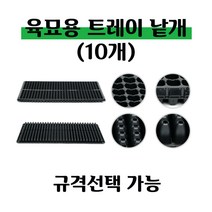 [좋은농자재] 육묘 트레이(낱개-10개), 50구
