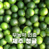 제주 무농약 인증 청귤 풋귤 어린귤 청귤청담그기, 무농약 청귤 5kg