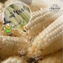 [팜쿡]괴산 삶은 대학찰옥수수 냉동 24개(팩당3개), 단품