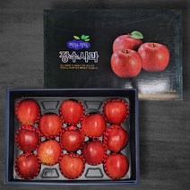 프리미엄 장수사과 선물세트 5kg내외, 16내