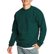 Hanes 에코스마트 남성용 스웨트셔츠 L 차콜, XX-Large, Deep Forest