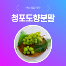 [한솔식품원료] 청포도향분말 (Muscat flavor powder) (분말 Type) [50g/100g/1kg/5kg/10kg], 50g, 1개