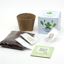 키우기 모종 화분재배키트 팜팜농장시리즈 틔움세상, 옥수수