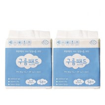 펫포인트 구름패드 프리미엄 고급형 35g 무향 50매, 2팩